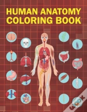 Human Anatomy Coloring Book
