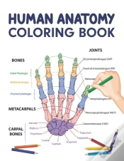 Capa do artigo Human Anatomy Coloring Book