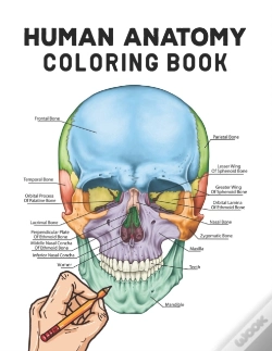 Capa do artigo Human Anatomy Coloring Book
