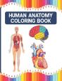 Human Anatomy Coloring Book - Preview
