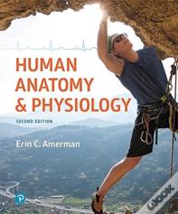 Human Anatomy & Physiology