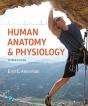 Human Anatomy & Physiology - Preview