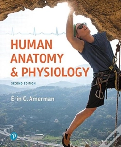 Capa do artigo Human Anatomy & Physiology