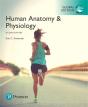 Human Anatomy & Physiology, Global Edition - Preview