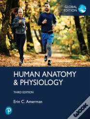 Human Anatomy & Physiology, Global Edition