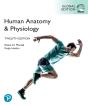 Human Anatomy & Physiology, Global Edition, (Hb) - Preview