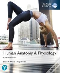 Human Anatomy & Physiology Plus Pearson Masteringanatomy & Physiology With Pearson Etext, Global Edition