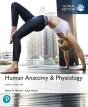 Human Anatomy & Physiology Plus Pearson Masteringanatomy & Physiology With Pearson Etext, Global Edition - Preview