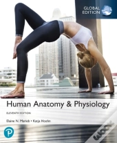 Human Anatomy & Physiology Plus Pearson Masteringanatomy & Physiology With Pearson Etext, Global Edition