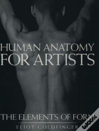 Human Anatomy For Artists