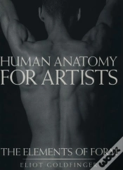 Capa do artigo Human Anatomy For Artists