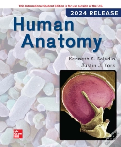 Capa do artigo Human Anatomy Ise