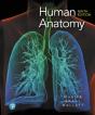 Human Anatomy - Preview
