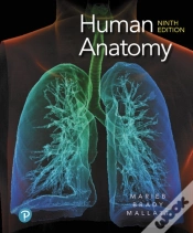 Capa do artigo Human Anatomy