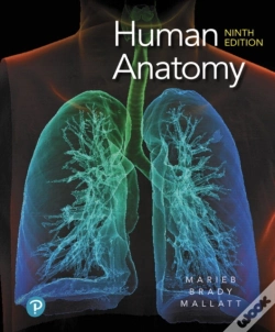 Capa do artigo Human Anatomy