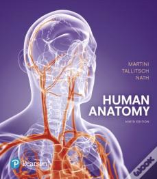 Human Anatomy