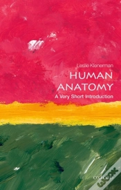 Capa do artigo Human Anatomy