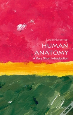 Capa do artigo Human Anatomy