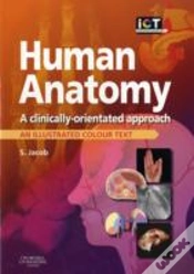 Capa do artigo Human Anatomy