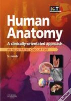 Capa do artigo Human Anatomy