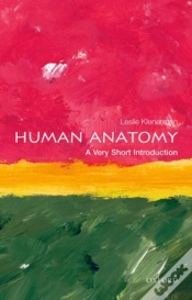 Capa do artigo Human Anatomy