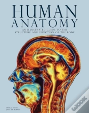 Capa do artigo Human Anatomy