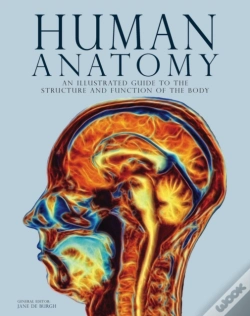 Capa do artigo Human Anatomy