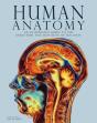 Human Anatomy - Preview