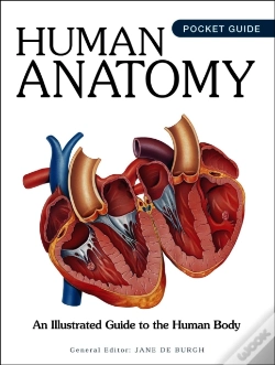 Capa do artigo Human Anatomy