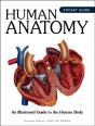 Human Anatomy - Preview