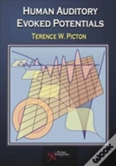 Human Auditory Evoked Potentials