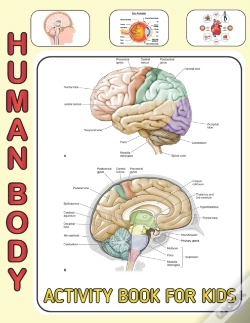 Capa do artigo Human Body Activity Book For Kids