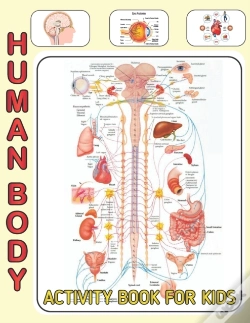 Capa do artigo Human Body Activity Book For Kids
