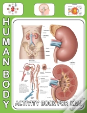 Human Body Activity Book For Kids