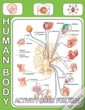 Human Body Activity Book For Kids