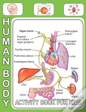 Human Body Activity Book For Kids