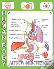 Capa do artigo Human Body Activity Book For Kids