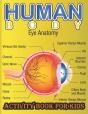 Human Body Activity Book For Kids - Preview