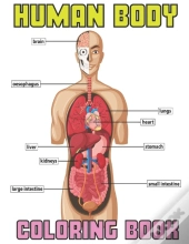Human Body Coloring Book