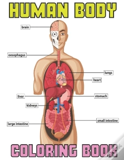 Capa do artigo Human Body Coloring Book