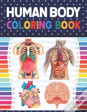 Capa do artigo Human Body Coloring Book