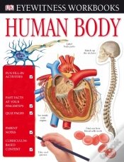 Capa do artigo Human Body