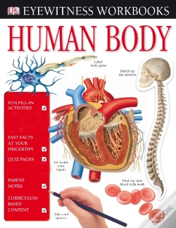 Capa do artigo Human Body