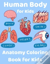 Human Body For Kids