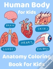 Capa do artigo Human Body For Kids