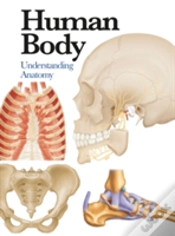 Capa do artigo Human Body