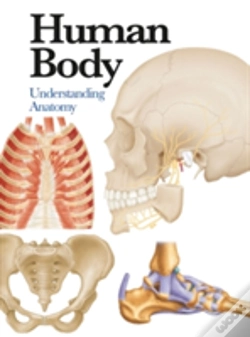 Capa do artigo Human Body
