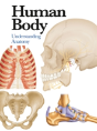 Human Body - Preview