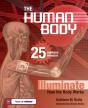 Human Body - Preview