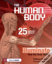 Capa do artigo Human Body